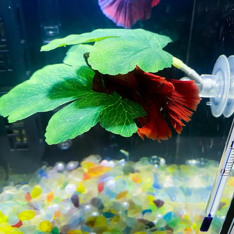 Planted Aquarium For Betta - Betta Fischblatt-Hängematte für Aquarien, dekoratives Pflanzenbett