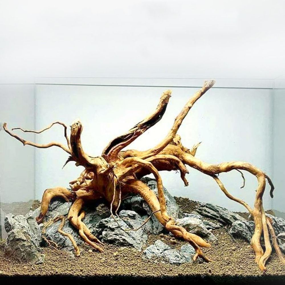 Aquarium Plant Root Tabs - Natürliche Baumstamm Aquarium Dekoration Holz Kunstwerk