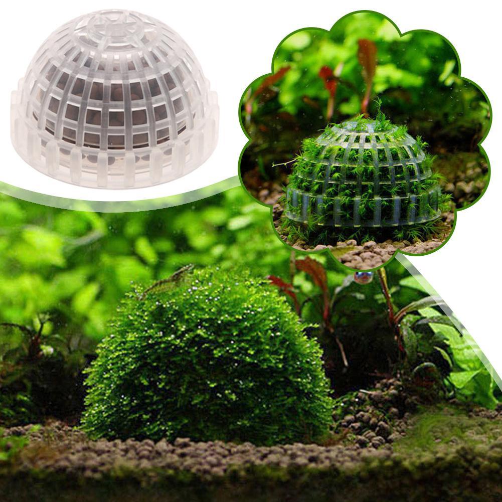 Aquarium Plant Red - Aquarium Dekoration Pflanzen Bio Moos Ball