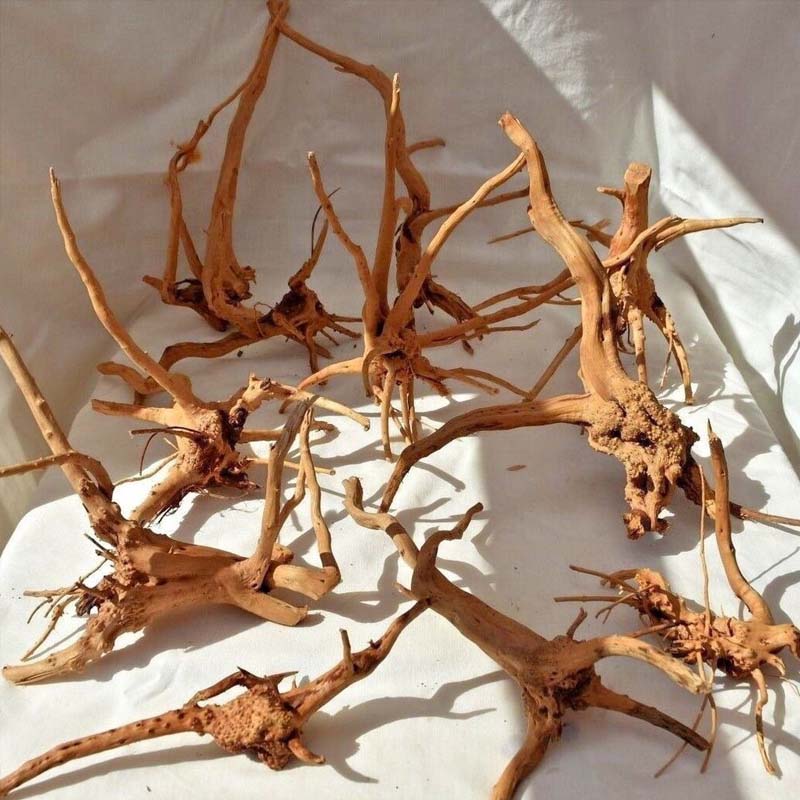 Aquarium Plant Root Tabs - 1 Stück Treibholz für Aquarien, Natürliches