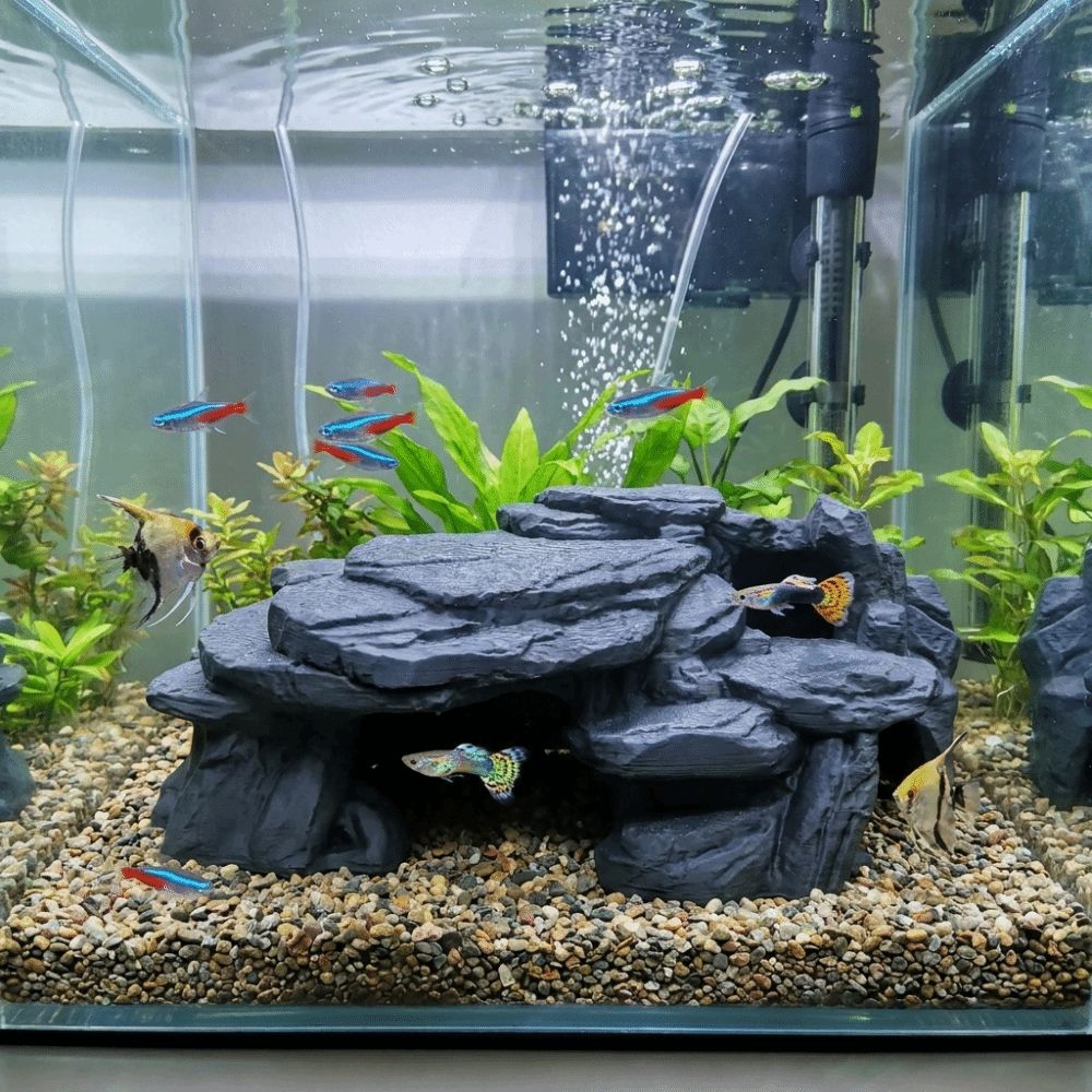 3D-gedruckte Fischbecken-Felse – Aquarium Plant Root Tabs Bewertung und Preis
