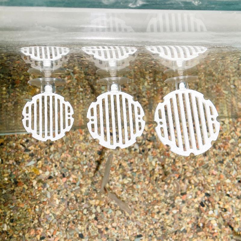 Kunststoff-Aquarium-Gitter für – Planted Aquarium For Betta Bewertung und Preis