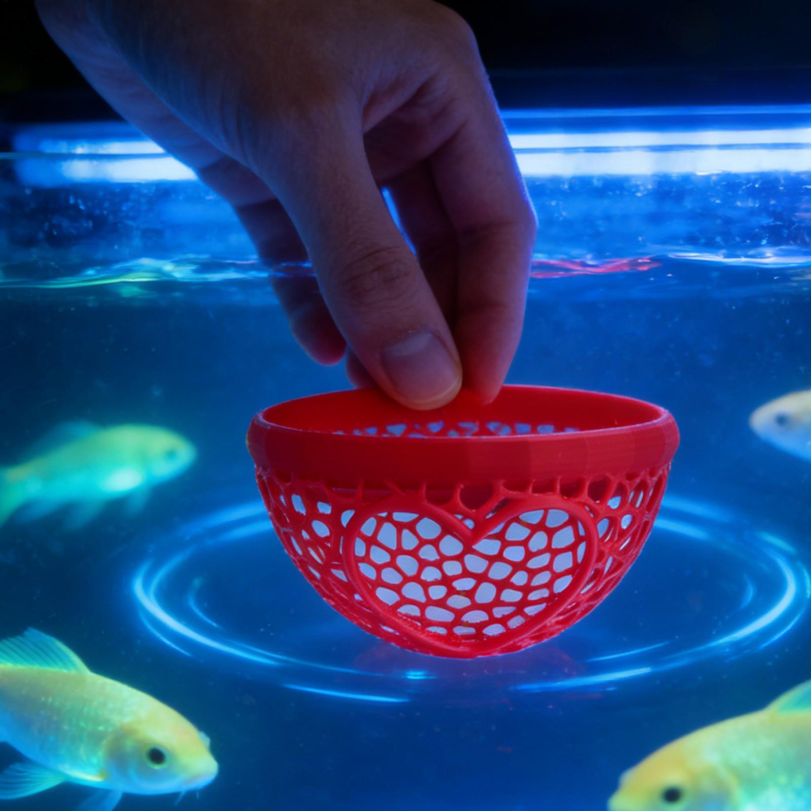 Schwimmende Betta-Höhle Betta- – Planted Aquarium For Betta Bewertung und Preis