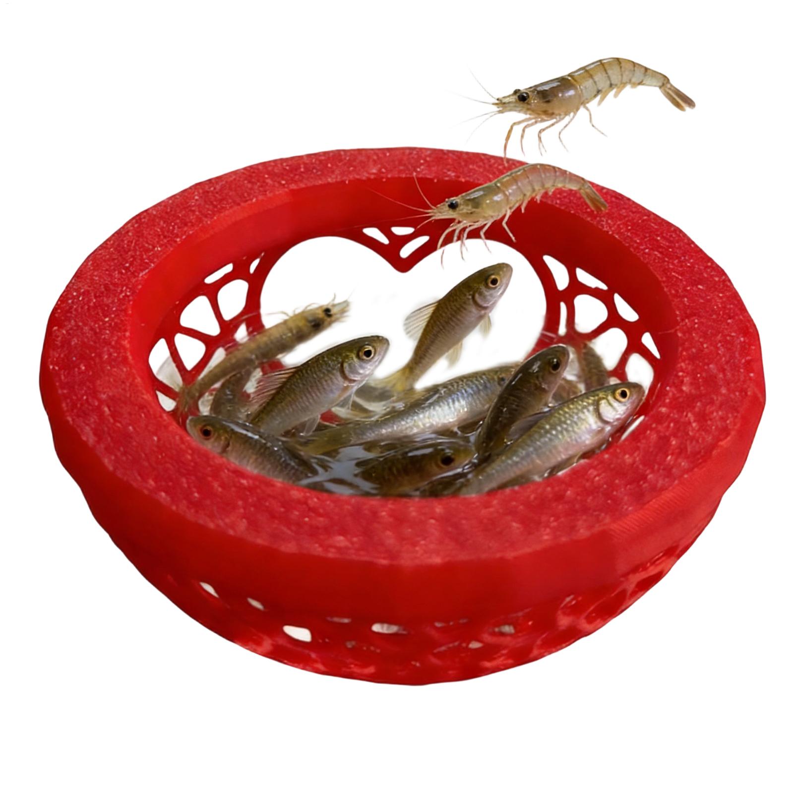Schwimmende Betta-Höhle Betta- – Planted Aquarium For Betta Bewertung und Preis