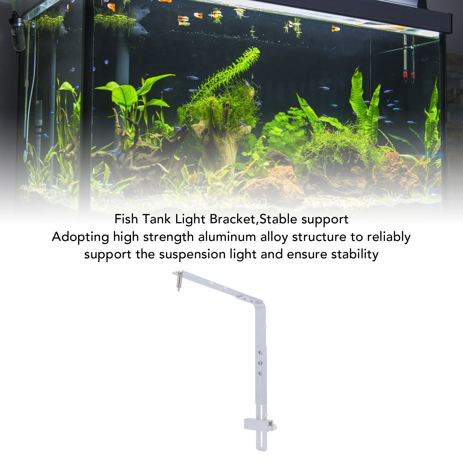 Aquarium-Lampenständer, Aquari – Aquarium Plant Holder Bewertung und Preis