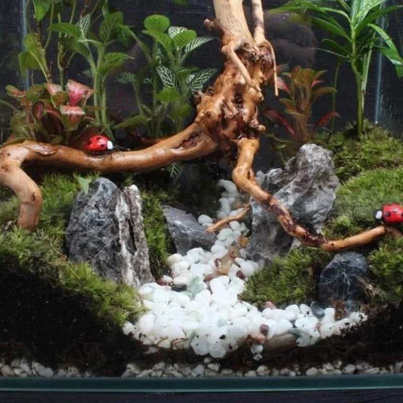 Natürlicher Baumstamm Treibhol – Aquarium Plant Root Tabs Bewertung und Preis