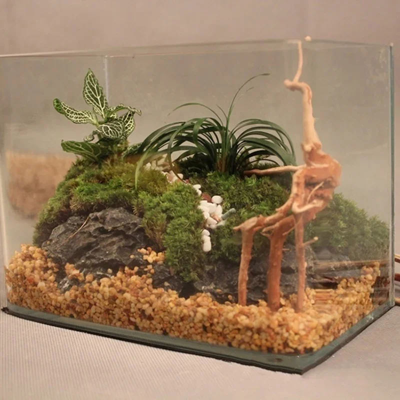 Natürlicher Baumstamm Treibhol – Aquarium Plant Root Tabs Bewertung und Preis