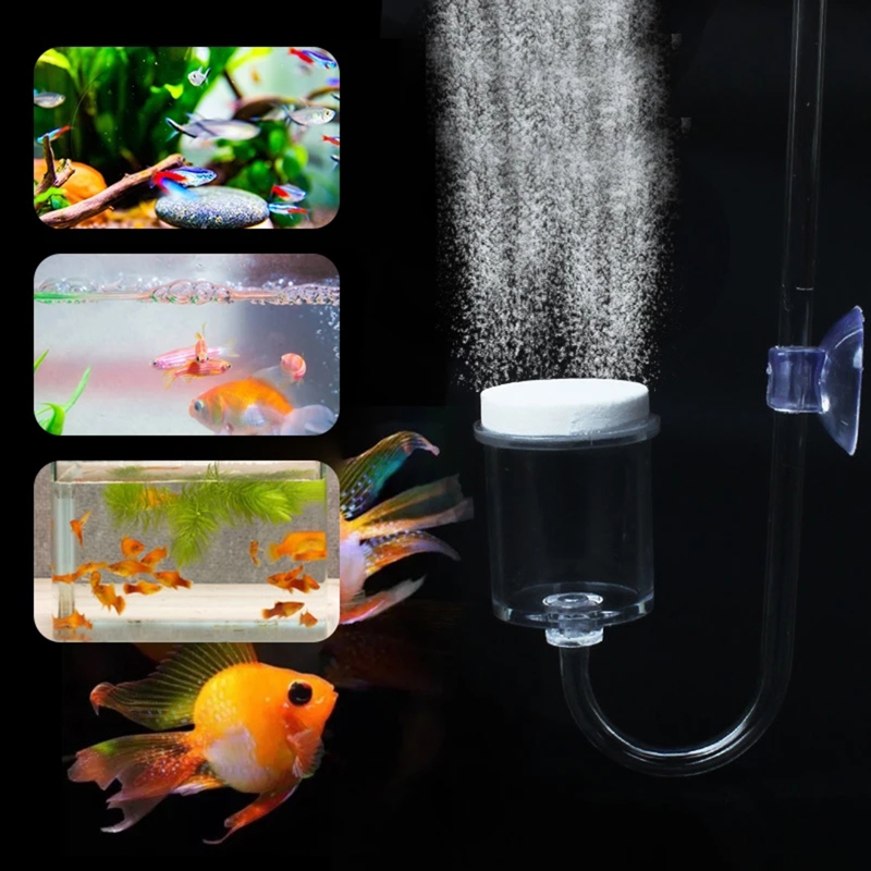4 stücke Set DIY CO2-Diffusor  – Aquarium Plant Gel Bewertung und Preis