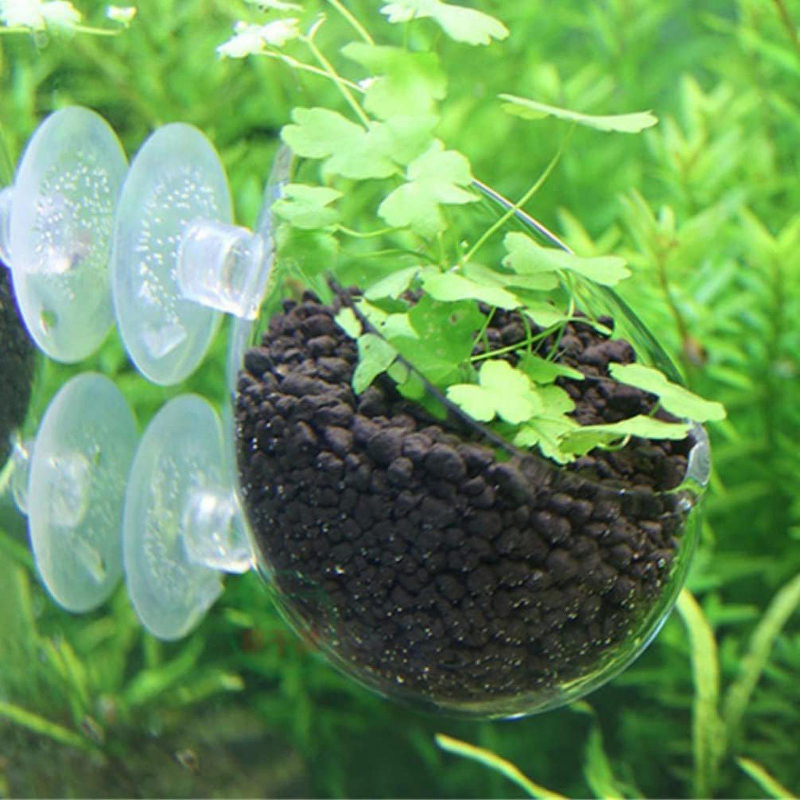 Aquarium-Pflanzenhalter Glas-W – Aquarium Plant Gel Bewertung und Preis