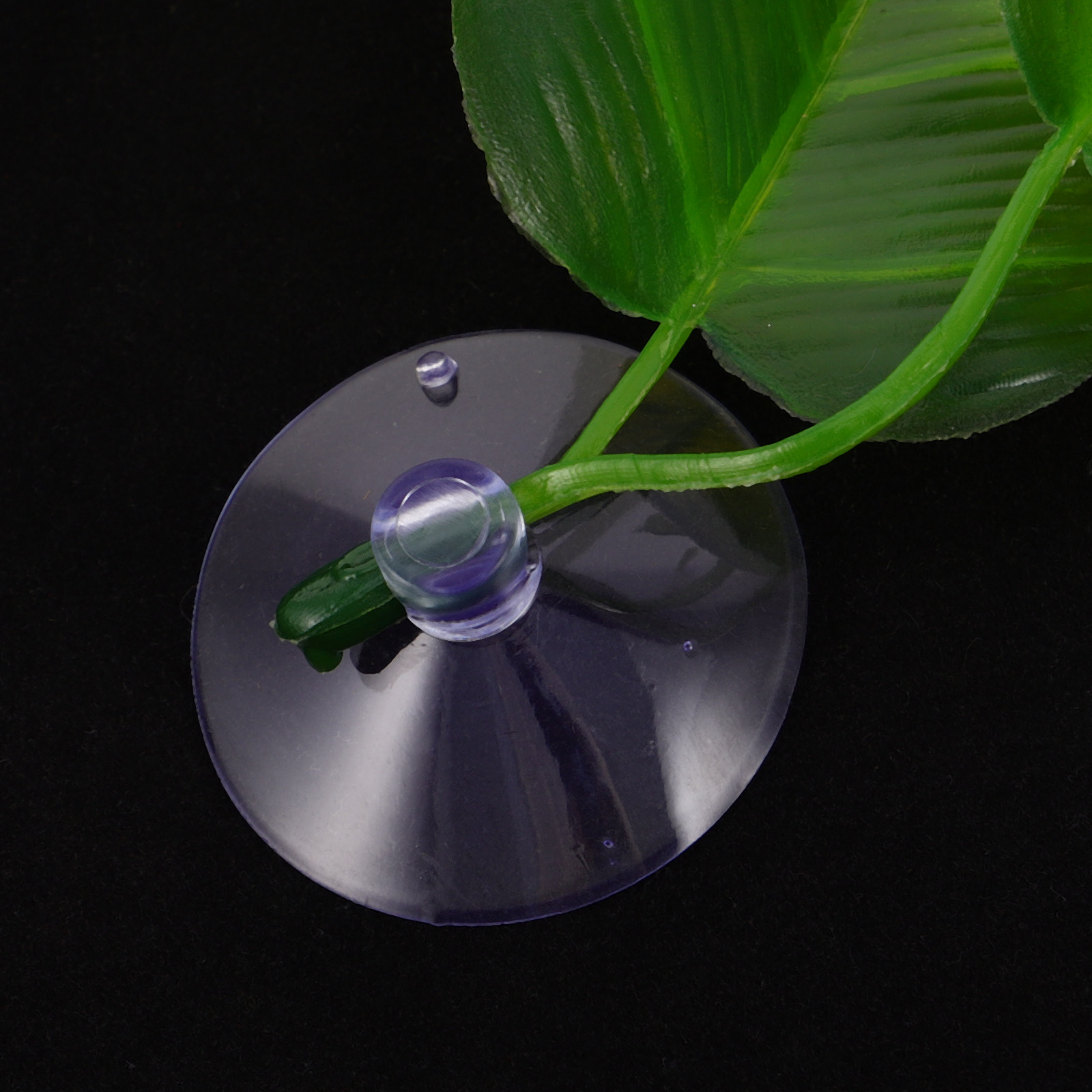 5 Stück Simulierte Blätter, Ge – Planted Aquarium For Betta Bewertung und Preis