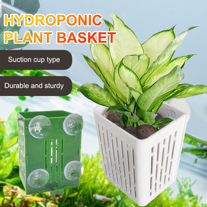 Hängende Saugnapf Haken Aquari – Aquarium Plant Holder Bewertung und Preis