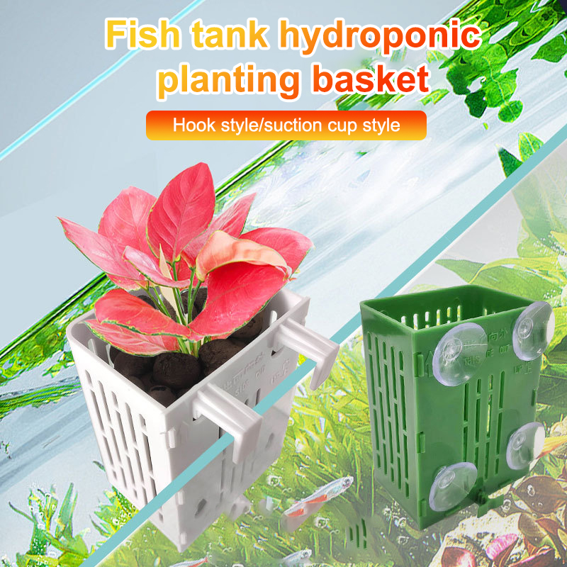 Hängende Saugnapf Haken Aquari – Aquarium Plant Holder Bewertung und Preis