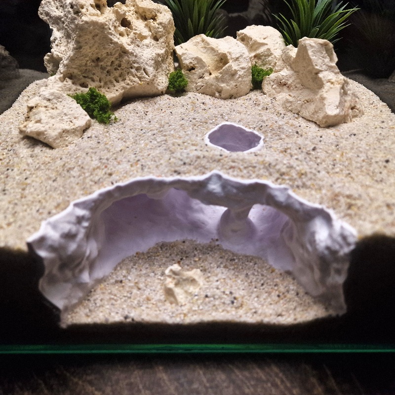 3D-gedruckte gegabelte Höhle A – Aquarium Plant Root Tabs Bewertung und Preis