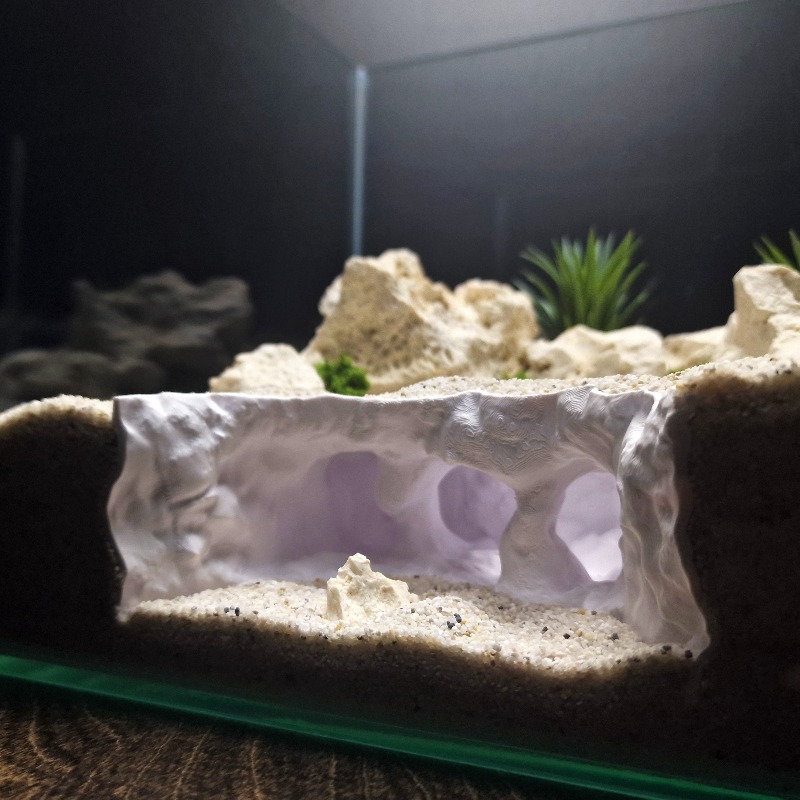 3D-gedruckte gegabelte Höhle A – Aquarium Plant Root Tabs Bewertung und Preis