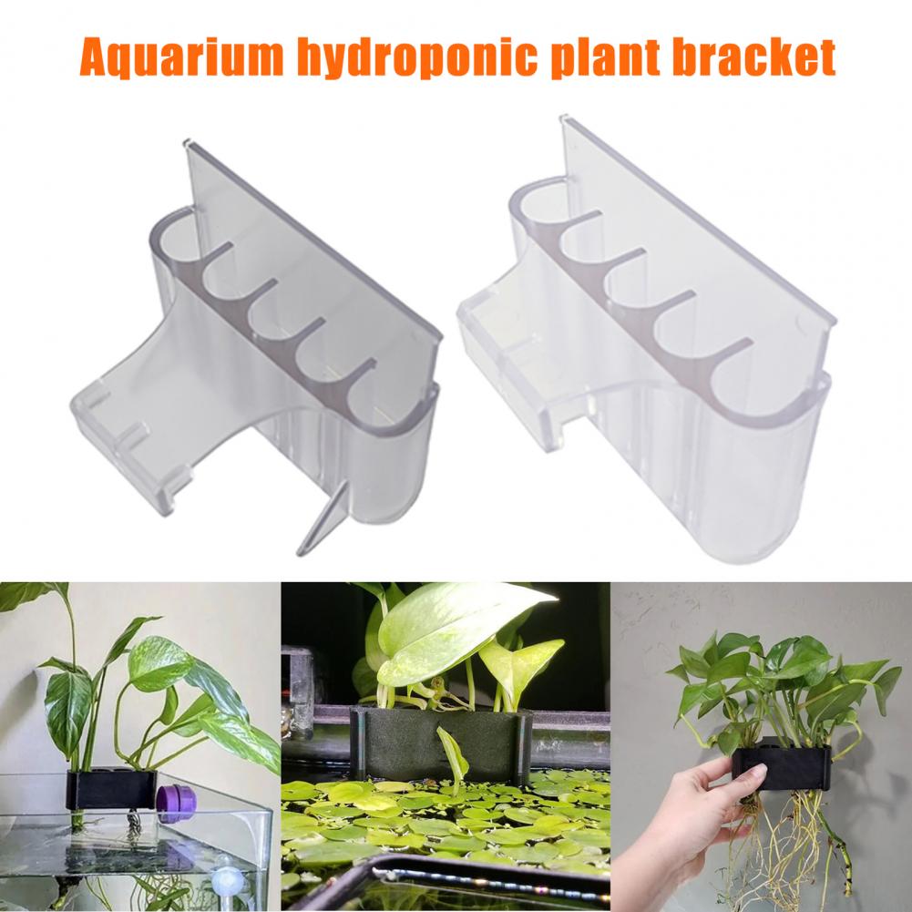 4,5/6,5 cm Aquarium Pflanzenha – Aquarium Plant Holder Bewertung und Preis