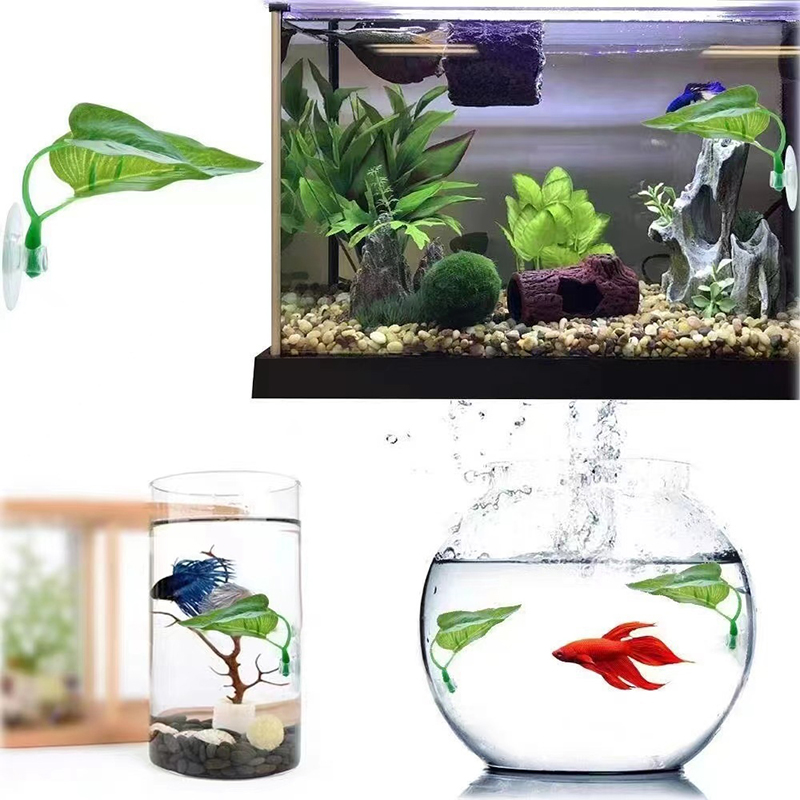 Künstliche Wasserpflanze für A – Planted Aquarium For Betta Bewertung und Preis
