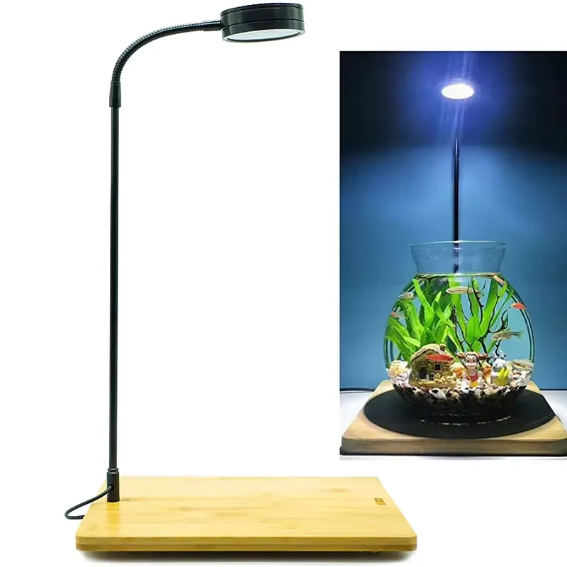 Vollspektrum-LED-Licht mit Leu – Planted Aquarium For Betta Bewertung und Preis