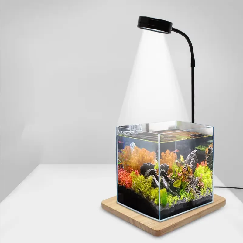 Vollspektrum-LED-Licht mit Leu – Planted Aquarium For Betta Bewertung und Preis