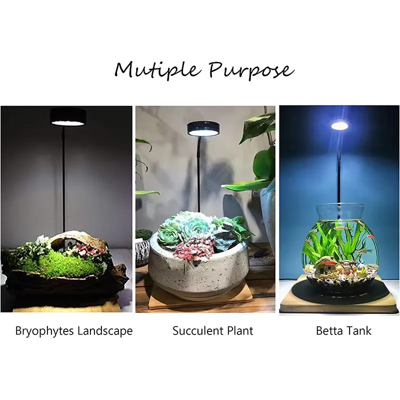 Vollspektrum-LED-Licht mit Leu – Planted Aquarium For Betta Bewertung und Preis