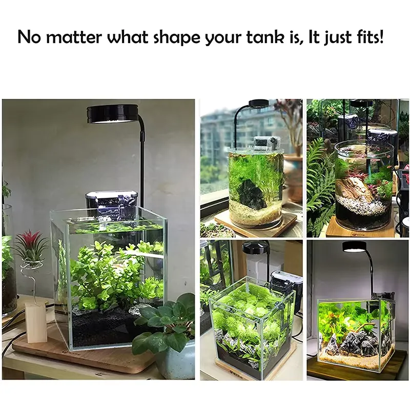 Vollspektrum-LED-Licht mit Leu – Planted Aquarium For Betta Bewertung und Preis