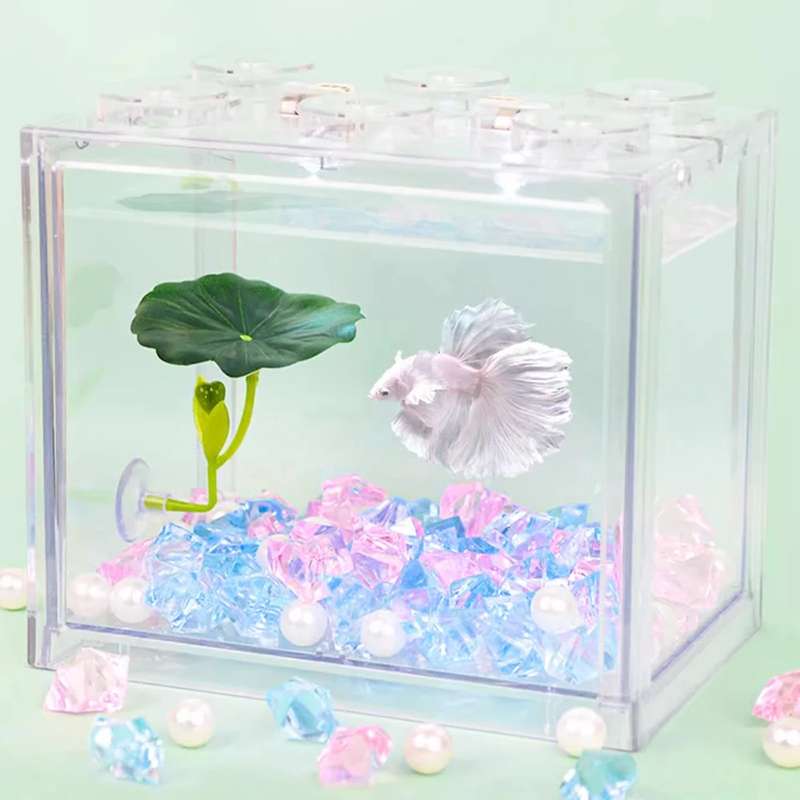 Grüne Blatt-Hängematte für Bet – Planted Aquarium For Betta Bewertung und Preis