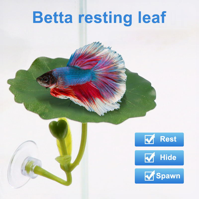 Grüne Blatt-Hängematte für Bet – Planted Aquarium For Betta Bewertung und Preis