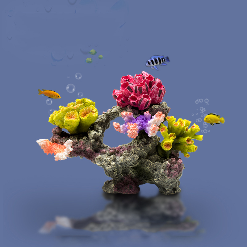 Betta Fishbowl Ornamente große – Planted Aquarium For Betta Bewertung und Preis