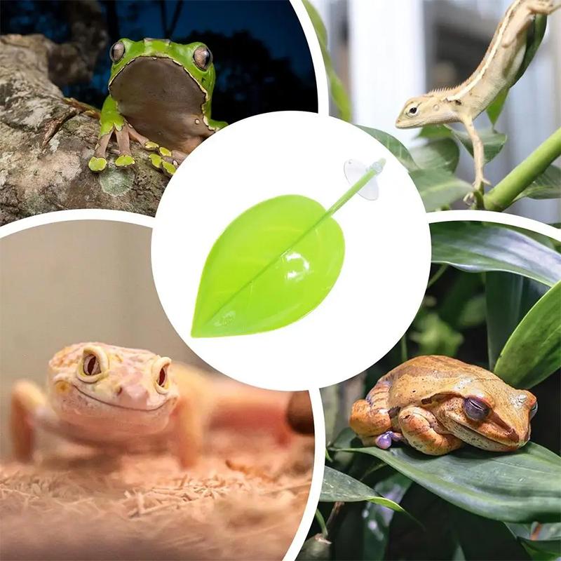 Aquarium-Zubehör Fischbecken B – Planted Aquarium For Betta Bewertung und Preis