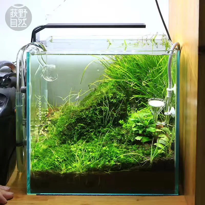 Spirituosen C-Serie ADA-Stil P – Aquarium Plant Diseases Bewertung und Preis