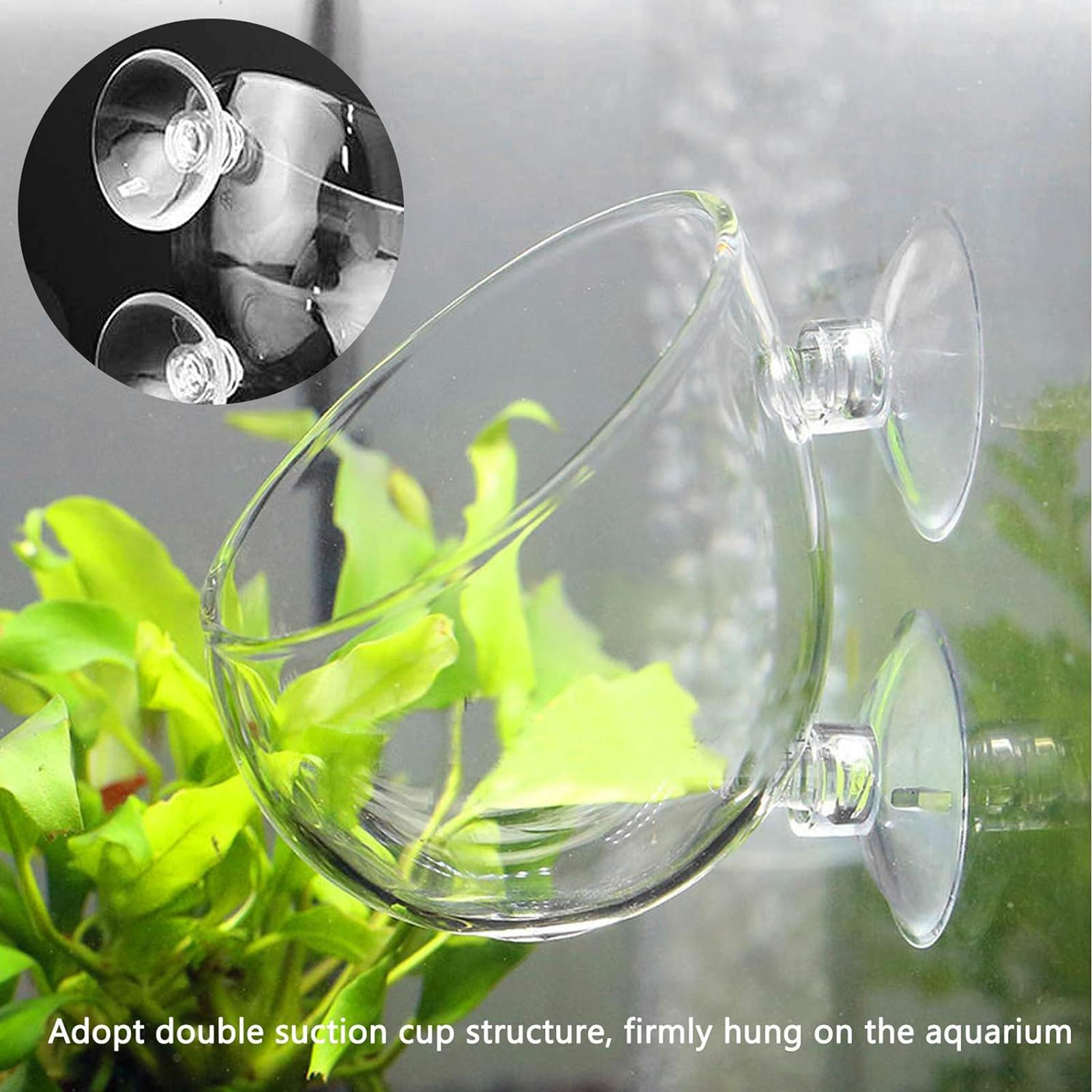 Aquarium-Glas-Pflanztopf mit S – Aquarium Plant Gel Bewertung und Preis