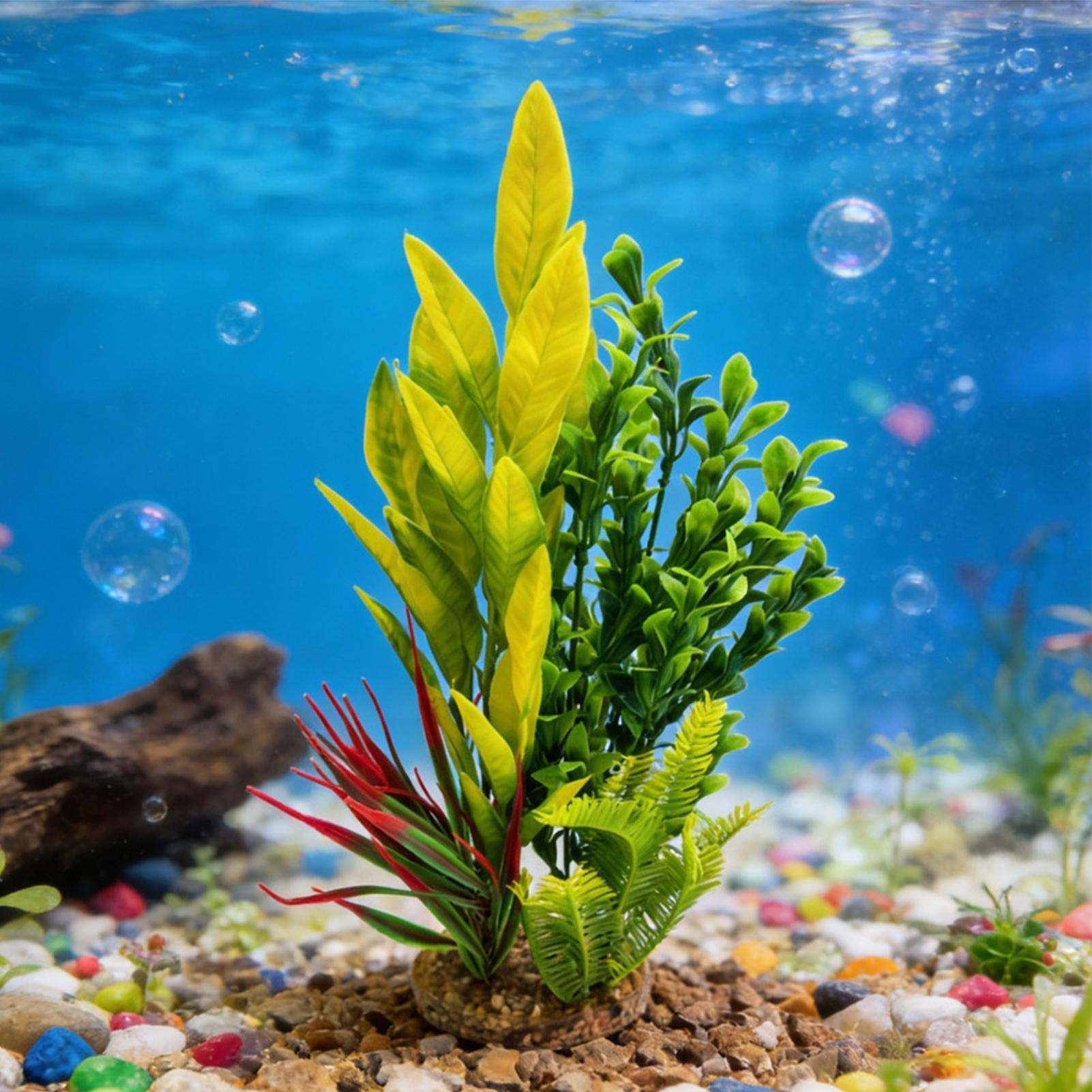Aquariumpflanzen, künstliche G – Planted Aquarium For Betta Bewertung und Preis