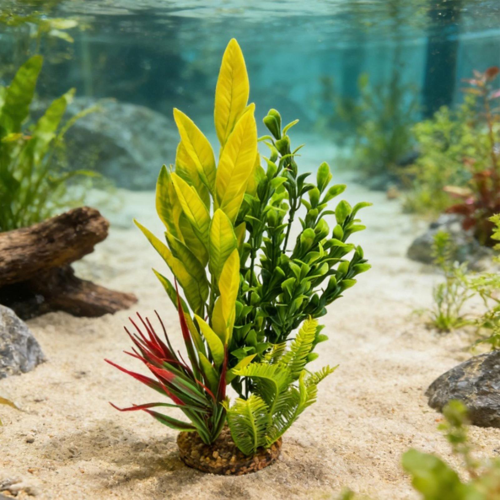 Aquariumpflanzen, künstliche G – Planted Aquarium For Betta Bewertung und Preis