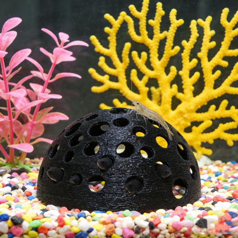 Versteckte Höhle für kleine Fi – Aquarium Plant Growing Bewertung und Preis