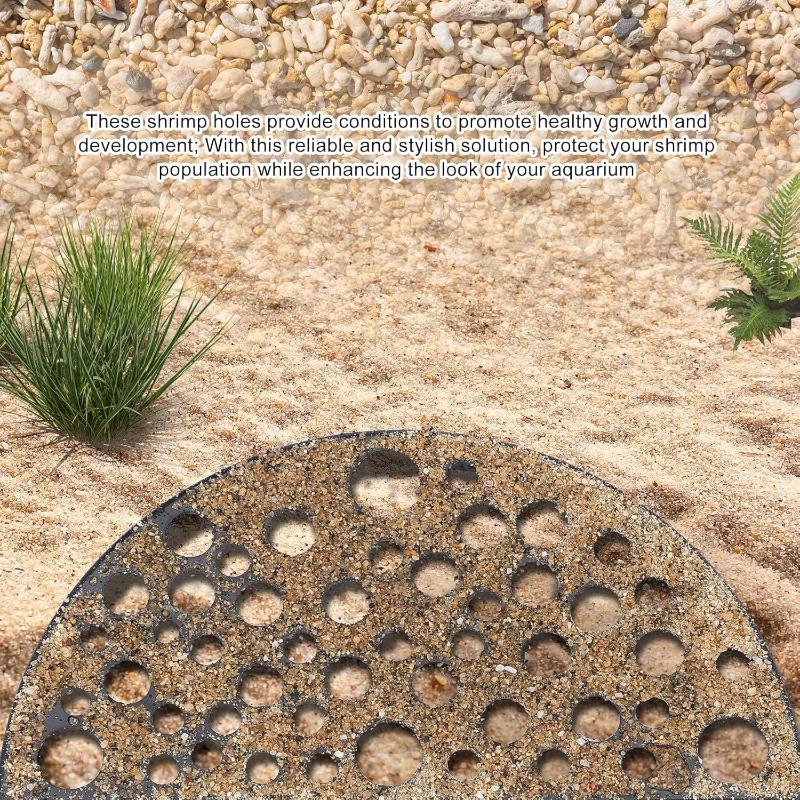 Versteckte Höhle für kleine Fi – Aquarium Plant Growing Bewertung und Preis