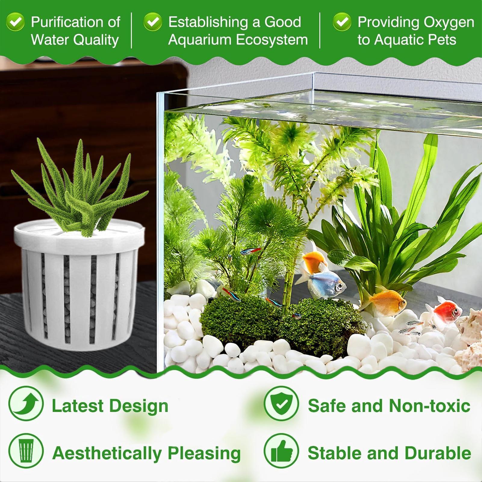 4-teiliger Aquarium-Pflanztopf – Aquarium Plant Holder Bewertung und Preis