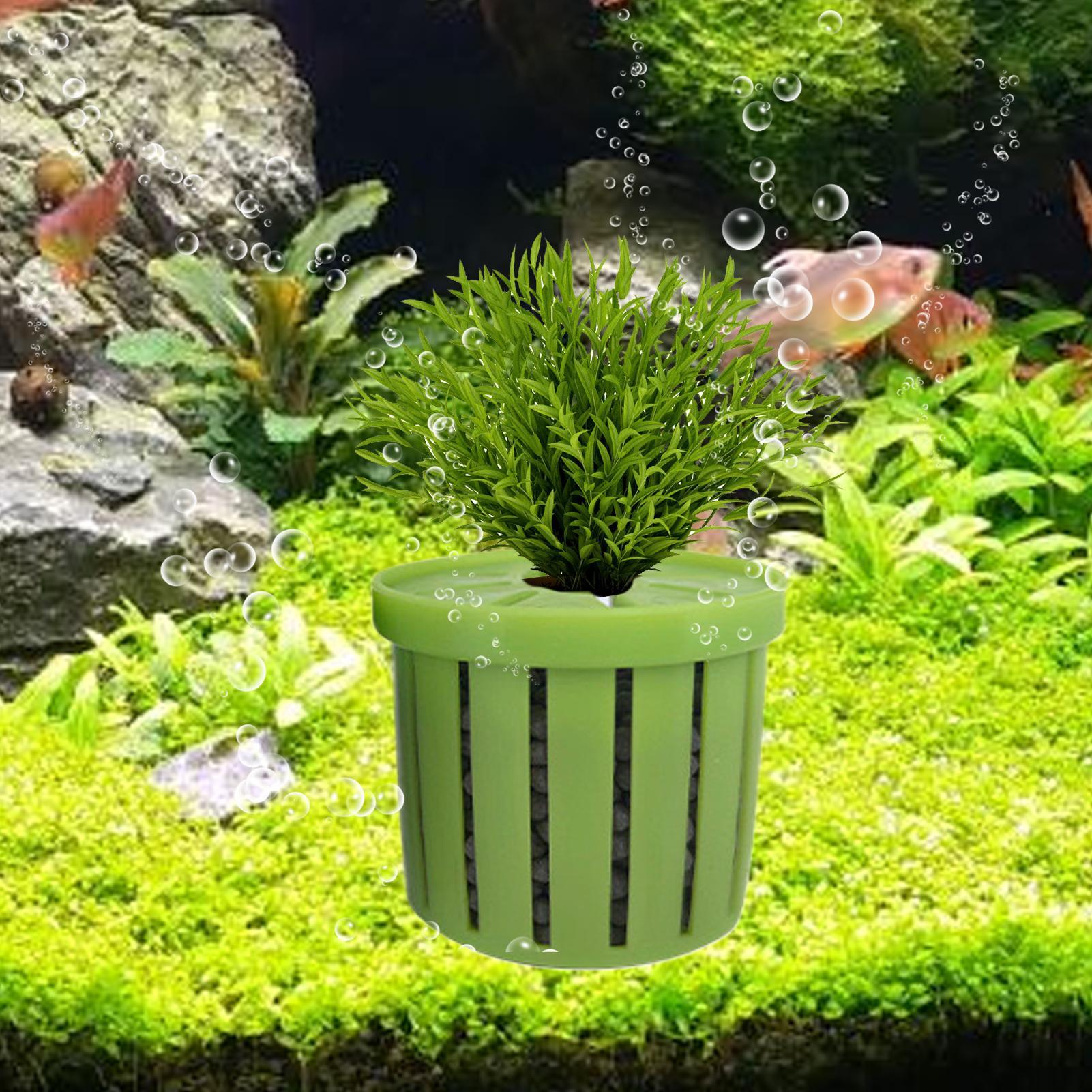 4-teiliger Aquarium-Pflanztopf – Aquarium Plant Holder Bewertung und Preis