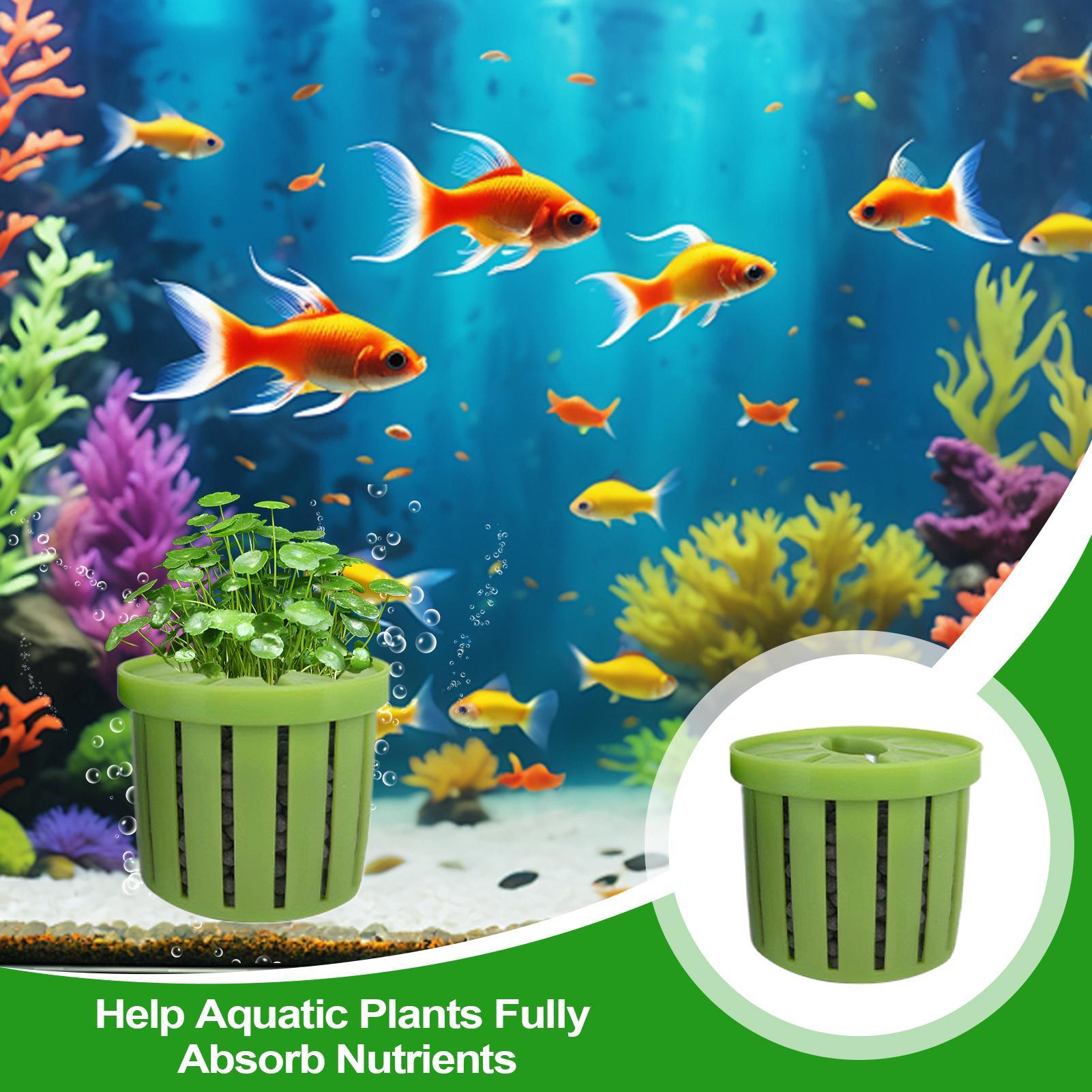 4-teiliger Aquarium-Pflanztopf – Aquarium Plant Holder Bewertung und Preis