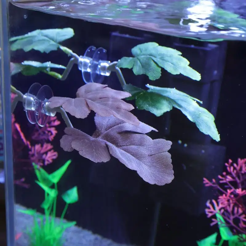 Betta Fischblatt-Hängematte fü – Planted Aquarium For Betta Bewertung und Preis