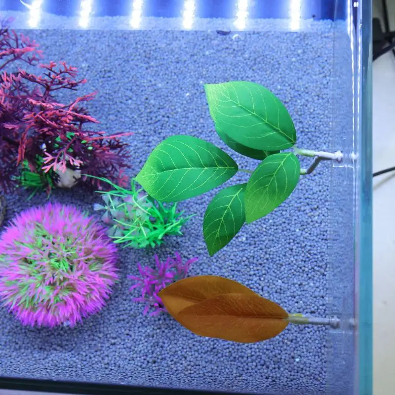 Betta Fischblatt-Hängematte fü – Planted Aquarium For Betta Bewertung und Preis