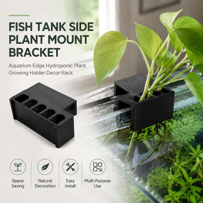 Aquarium-Seitenhalterung für P – Aquarium Plant Diseases Bewertung und Preis