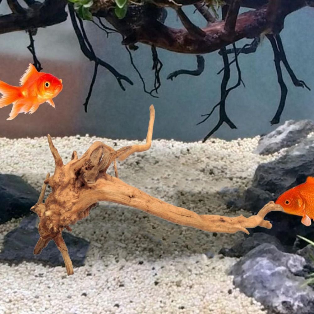 Natürliche Baumstamm Aquarium  – Aquarium Plant Root Tabs Bewertung und Preis