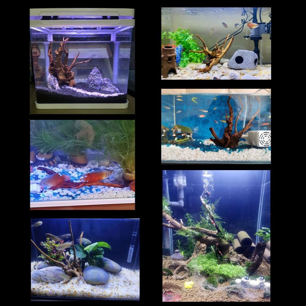 Natürliche Baumstamm Aquarium  – Aquarium Plant Root Tabs Bewertung und Preis