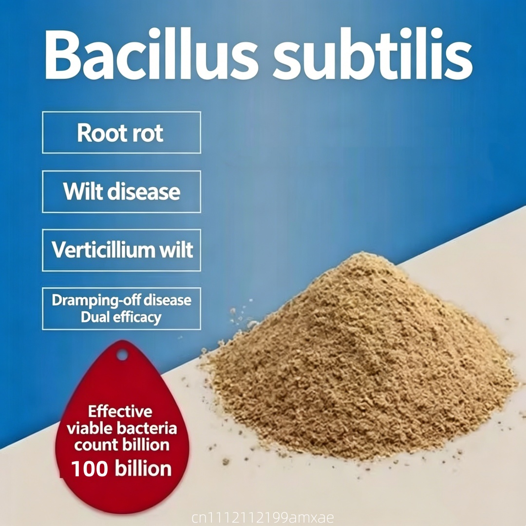 Hochwirksames Bacillus Subtili – Aquarium Plant Diseases Bewertung und Preis