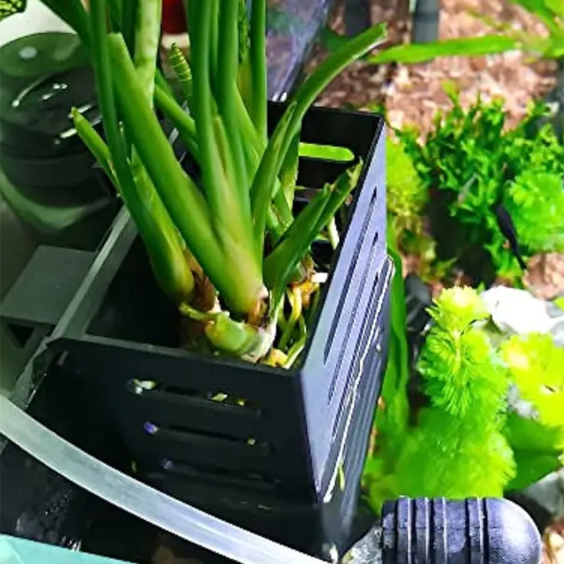Haustier Aquarium Dekorationen – Aquarium Plant Holder Bewertung und Preis