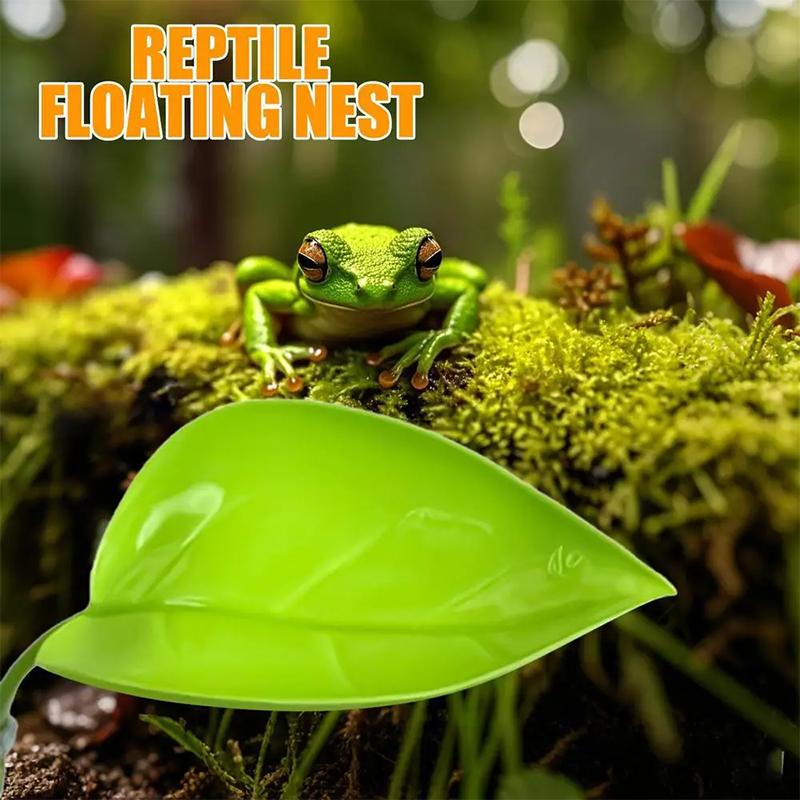 Aquarium-Zubehör Fischbecken B – Planted Aquarium For Betta Bewertung und Preis