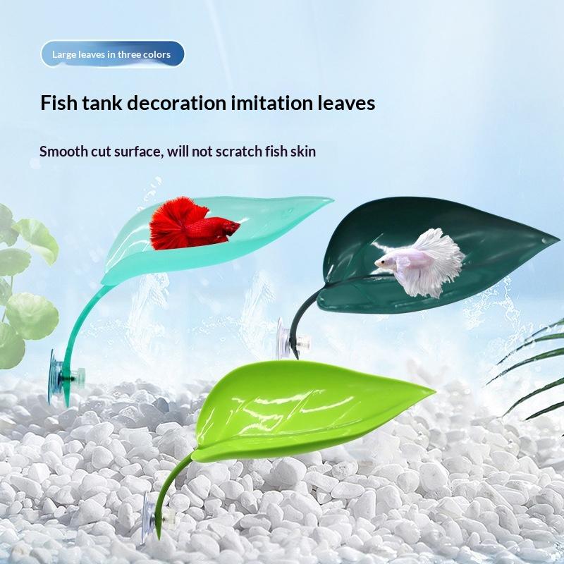 Aquarium-Zubehör Fischbecken B – Planted Aquarium For Betta Bewertung und Preis