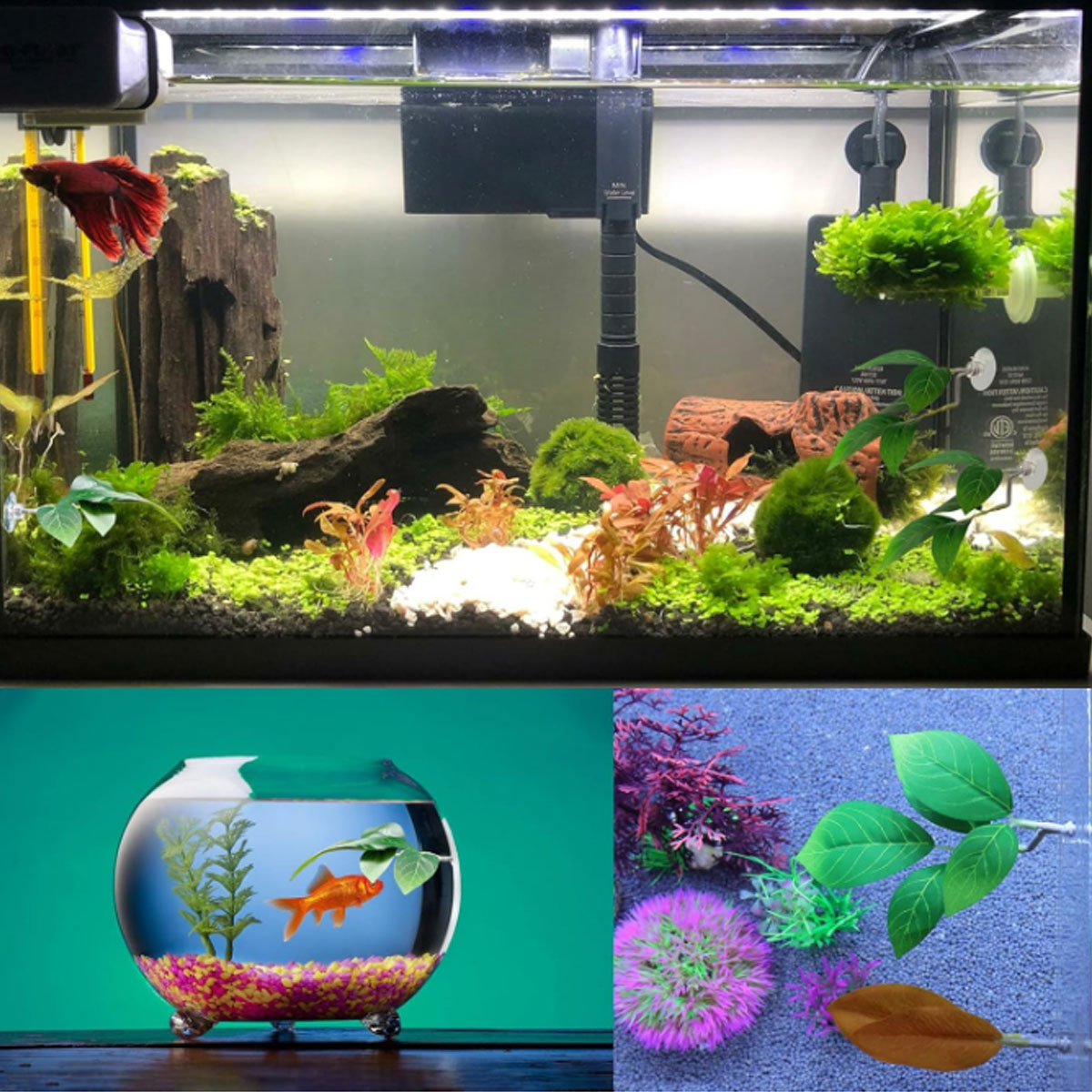 1 Stück Betta-Fisch-Hängematte – Planted Aquarium For Betta Bewertung und Preis
