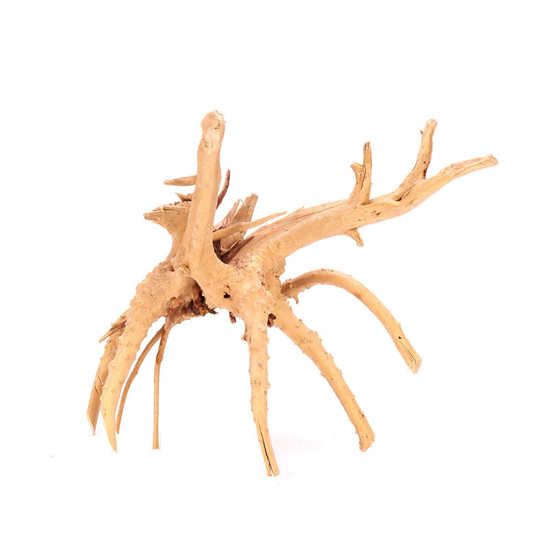 4 Stück Natürliche Holz-Aquari – Aquarium Plant Root Tabs Bewertung und Preis