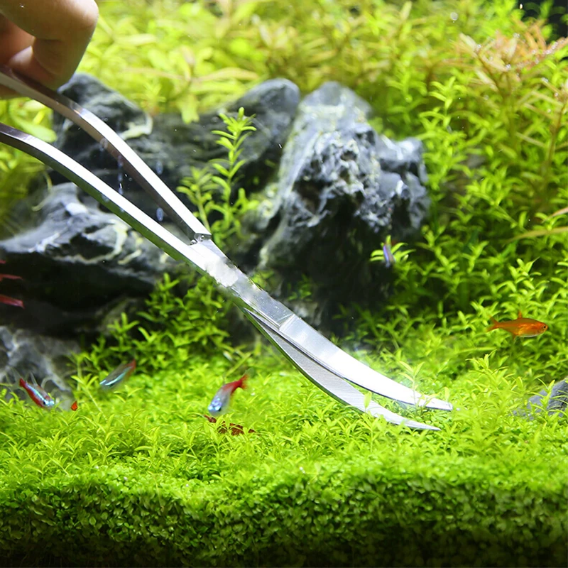 Aquarium Schere Werkzeuge Aqua – Aquarium Plant Holder Bewertung und Preis