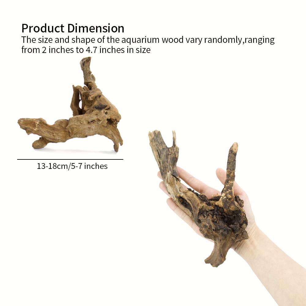 1 Stück Kleines Natürliches Tr – Aquarium Plant Root Tabs Bewertung und Preis